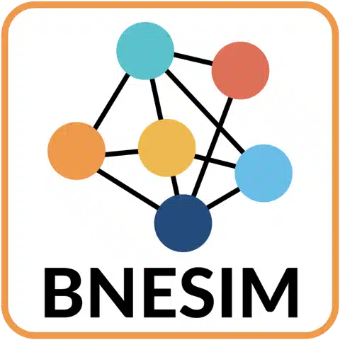 logo BNESIM