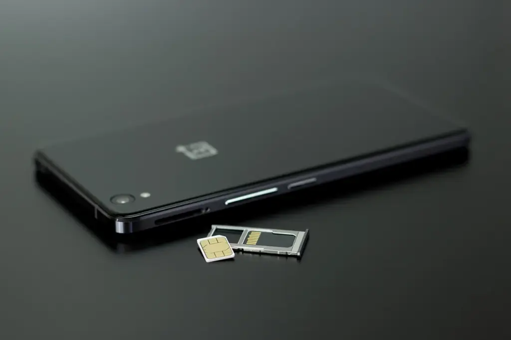 Convert a Physical SIM card to an eSIM