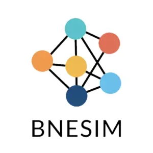 BnESim
